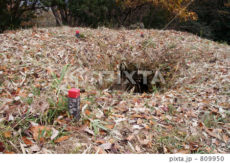 岩橋千塚古墳群の墳丘墓 809950