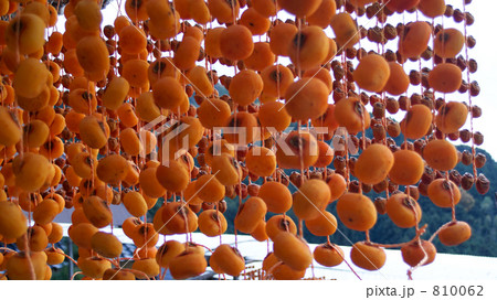 串柿のすだれ 810062