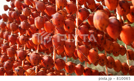 串柿のすだれ 810065