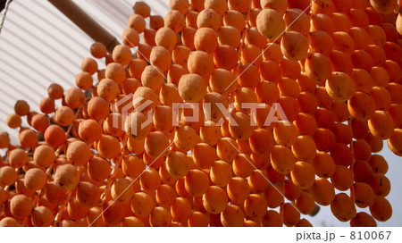 串柿のすだれ 810067