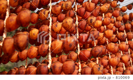 串柿のすだれ 串柿のすだれ 810069