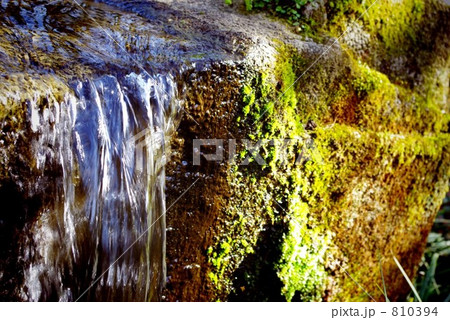 nature nature 810394