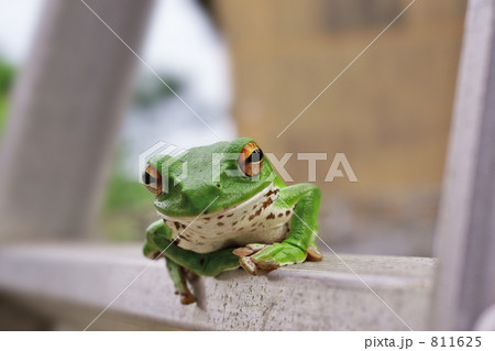 ん、何かようかい 811625