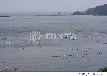 養殖漁業 養殖漁業 811675