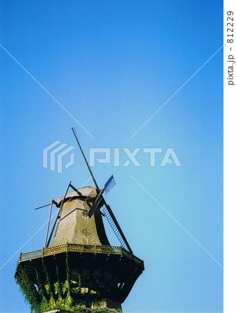 風に向かう 812229