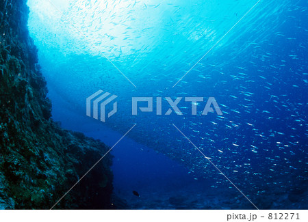 h-tk092 812271