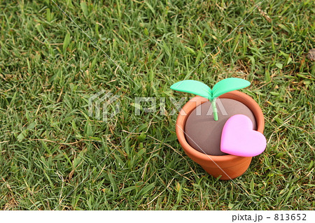 エコロジー エコロジー 813652