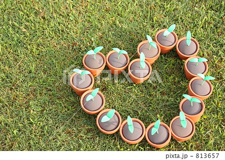 エコロジー 813657