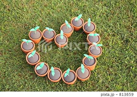 エコロジー 813659