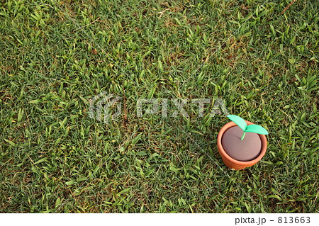 エコロジー 813663