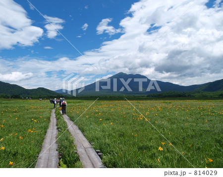 夏の尾瀬ハイキング 夏の尾瀬ハイキング 814029