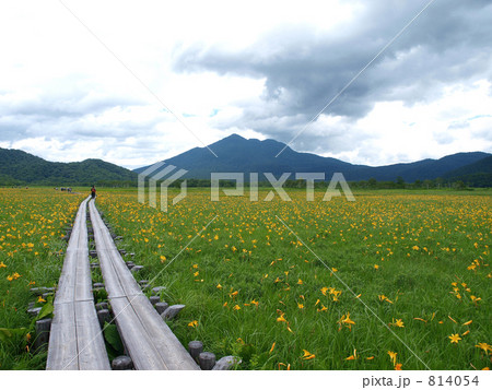 夏の尾瀬ハイキング 814054