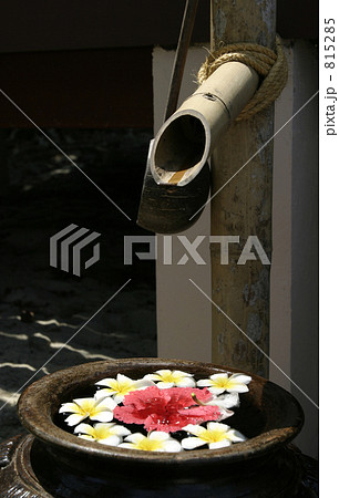 洗い水 洗い水 815285