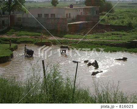 パキスタンの川 816025