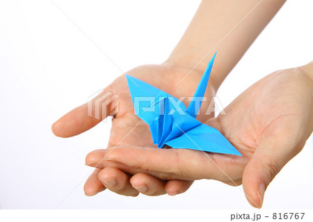 折鶴 折鶴 816767