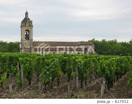 ボルドーのブドウ畑と教会 817052