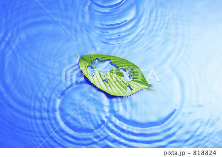 エコイメージ 818824