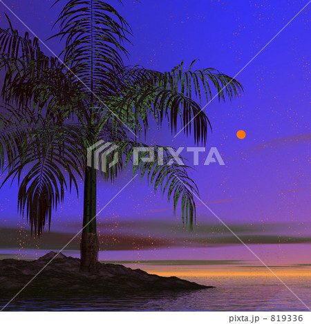 南国 南国 819336