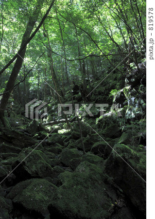 白谷雲水峡 819578