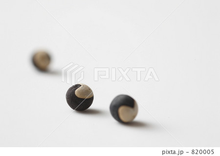 風船葛の種 820005