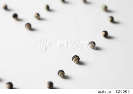 風船葛の種 820009