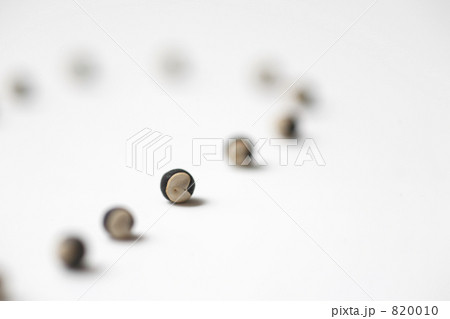 風船葛の種 820010