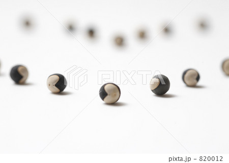 風船葛の種 820012