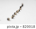 風船葛の種 820018