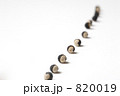 風船葛の種 820019