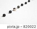風船葛の種 820022