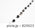 風船葛の種 820023