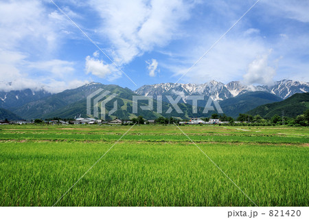 白馬村の田園風景 白馬村の田園風景 821420