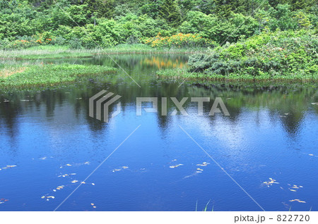 夏の睡蓮沼(青森県) 夏の睡蓮沼(青森県) 822720
