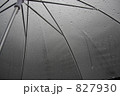 傘 827930