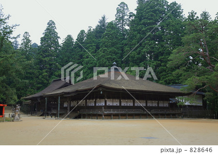 高野山・壇上伽藍の御影堂 高野山・壇上伽藍の御影堂 828646