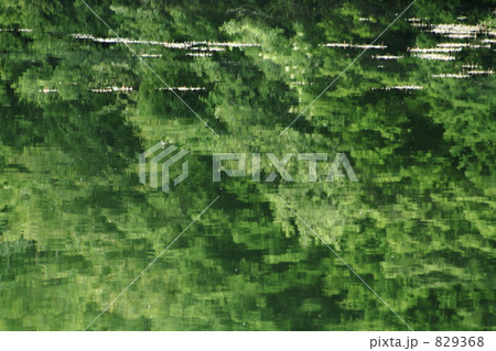 奥日光　湯ノ湖　水の世界 829368