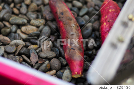 石焼き芋 829456