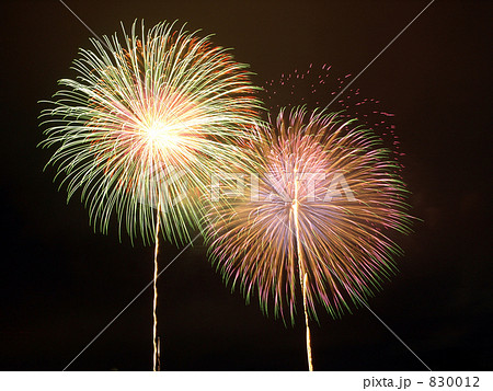 花火　東京湾大華火祭 830012