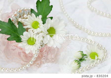 クリサンセマムとパール 830204