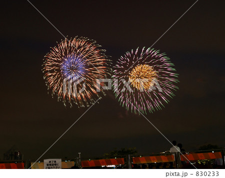 花火 東京湾大華火祭 花火 東京湾大華火祭 830233