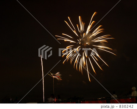 花火 東京湾大華火祭 花火 東京湾大華火祭 830242