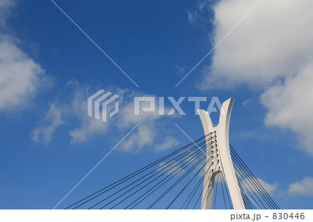 白い斜張橋と青空 830446