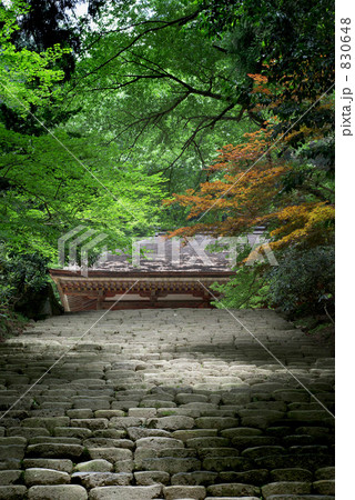 室生寺よろい坂 830648