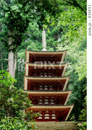 室生寺の五重塔 室生寺の五重塔 830651