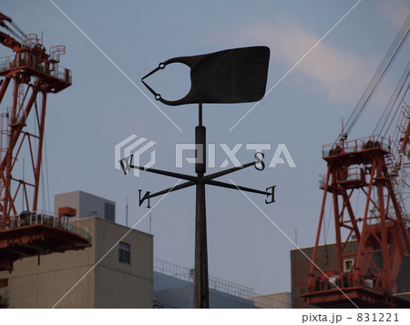 方向性はどっち 831221