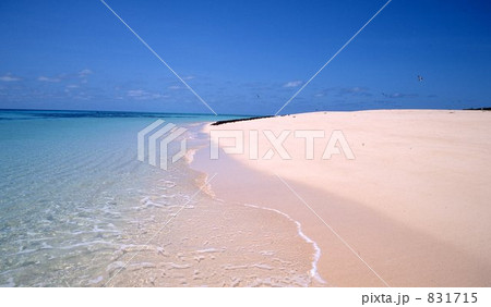 グレートバリアリーフ  831715