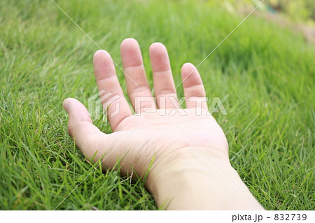 掌を太陽に 832739