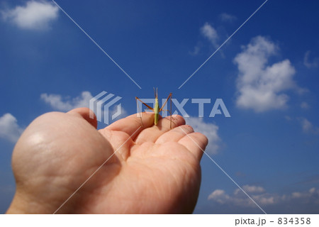 834358