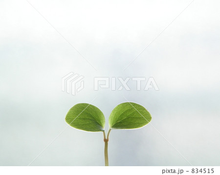 双葉 エコイメージ eco 双葉 エコイメージ eco 834515