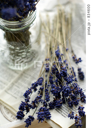 ドライフラワー 834600